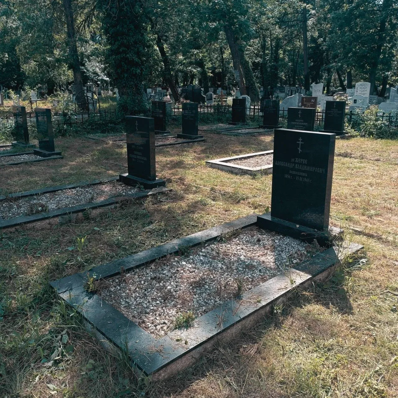 Група младежи работи по облагородяване на зелените площи около паметниците.